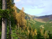 Near Spotted Bear Pass